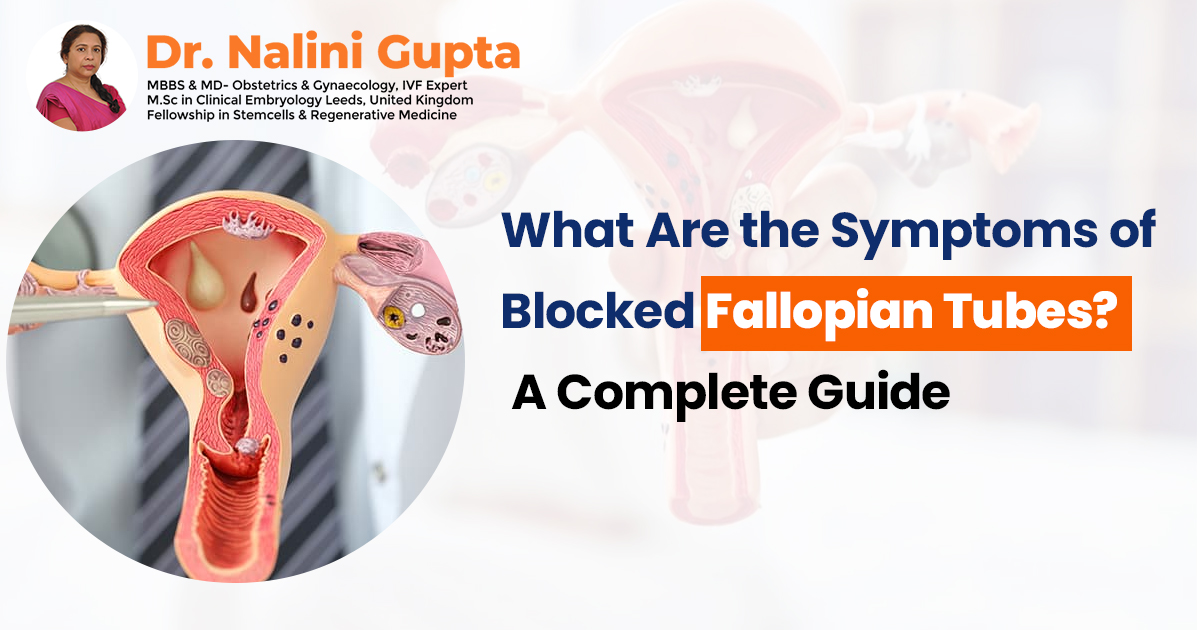What Are the Symptoms of Blocked Fallopian Tubes? A Complete Guide