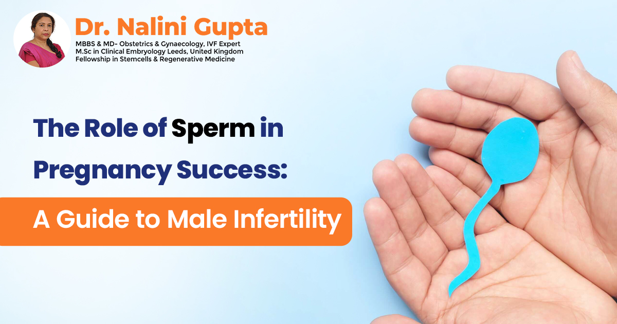 The Role of Sperm in Pregnancy Success: A Guide to Male Infertility