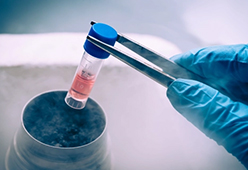 Embryo Freezing
