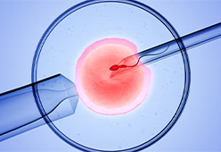 IVF