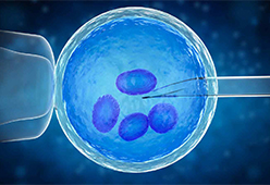 PGD Treatment
