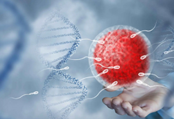 Male Infertility