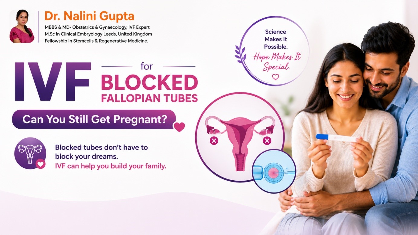 IVF for Blocked Fallopian Tubes: Can You Still Get Pregnant?