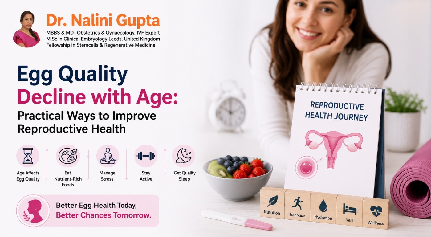 Egg Quality Decline with Age: Practical Ways to Improve Reproductive Health