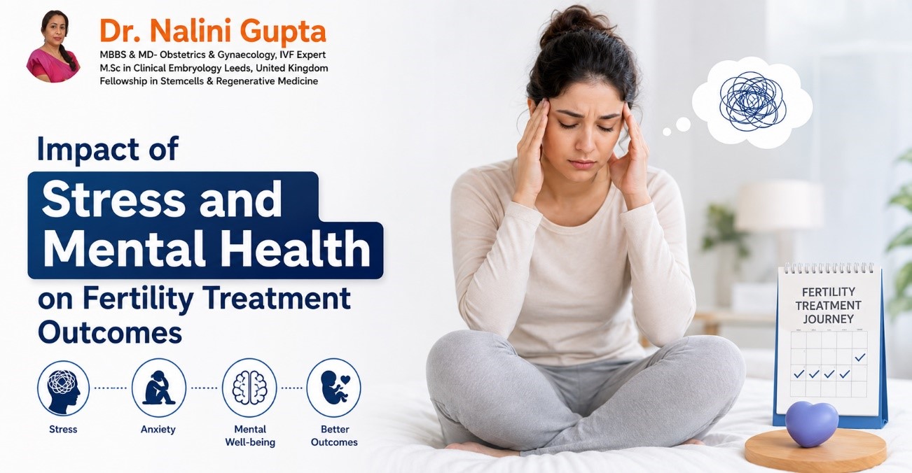 Impact of Stress and Mental Health on Fertility Treatment Outcomes